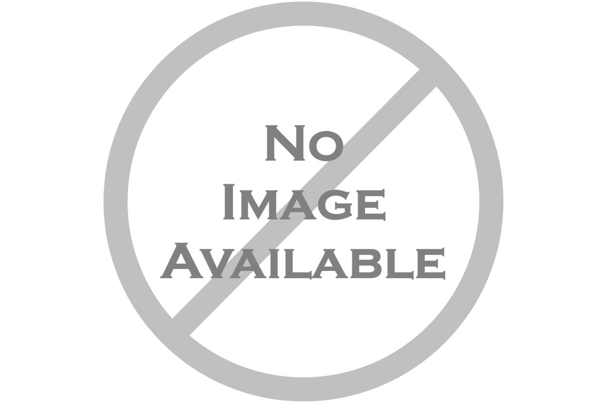 ĐÔNG TÂY HOA KỲ 2025 - Mùa phượng tím nở rực trời ở California