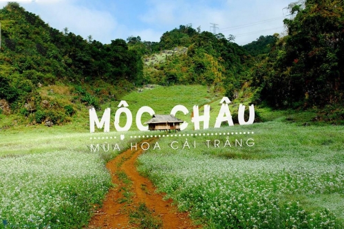 HÀ NỘI - MỘC CHÂU - TÀ XÙA (2 NGÀY 1 ĐÊM)