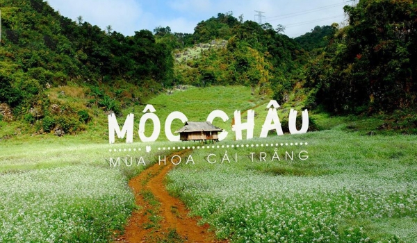 HÀ NỘI - MỘC CHÂU - TÀ XÙA (2 NGÀY 1 ĐÊM)