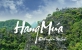 HÀ NỘI - NINH BÌNH - HOA LƯ - TRÀNG AN - CHÙA BÍCH ĐỘNG - HANG MÚA (2 Ngày 1 Đêm)