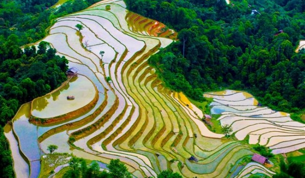 TOUR HÀ NỘI - SAPA BẰNG TÀU HỎA (4N3Đ)