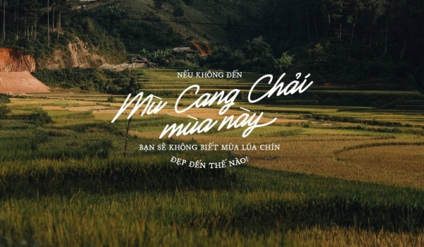 TOUR HÀ NỘI - MÙ CANG CHẢI - TÚ LỆ - SUỐI GIÀNG