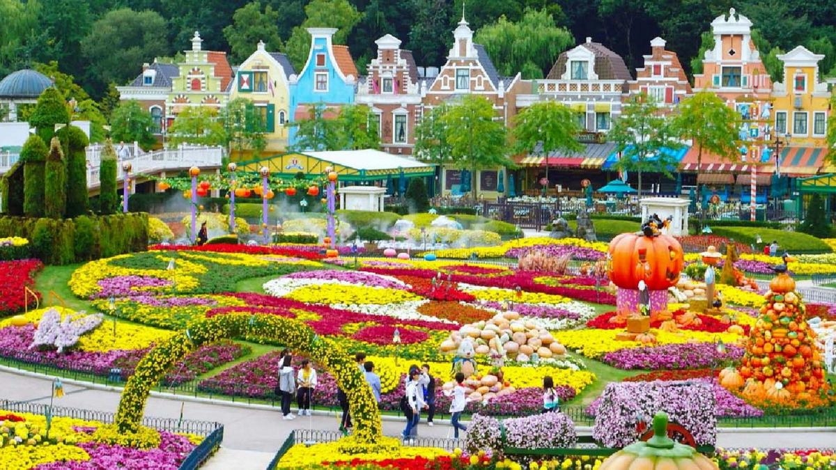 SEOUL – SAUNA – NAMI – EVERLAND – BUS SÔNG HÀN 2025