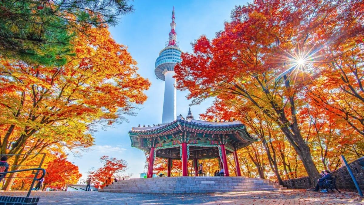 BUSAN – DU THUYỀN – TÀU VEN BIỂN – SEOUL – NAMI 2025