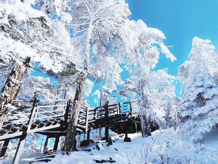 HÀ KHẨU – CÔN MINH – NÚI TUYẾT KIỆU TỬ (NO SHOP)