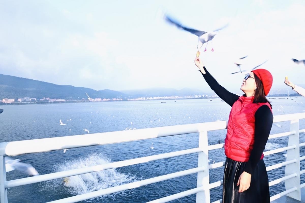 HÀ KHẨU – CÔN MINH – NÚI TUYẾT KIỆU TỬ (NO SHOP)