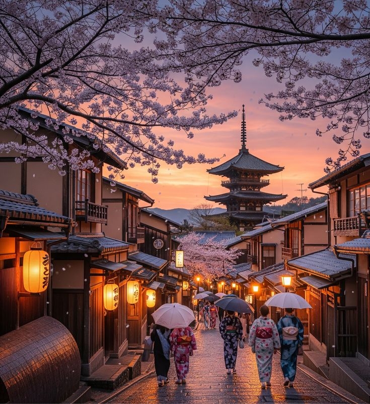 NHẬT BẢN-   HOA ANH ĐÀO 2026 (MỒNG 2 TẾT ÂM LỊCH)