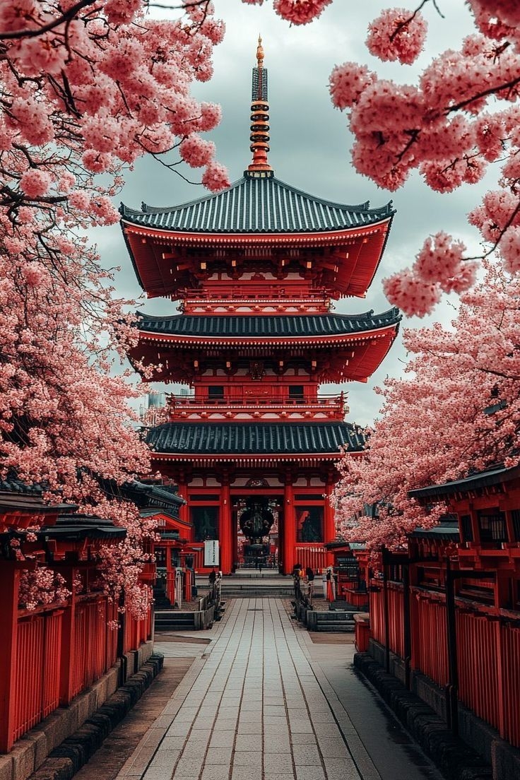 NHẬT BẢN – MÙA HOA ANH ĐÀO 2026 (LỊCH TRÌNH 6 NGÀY 5 ĐÊM)