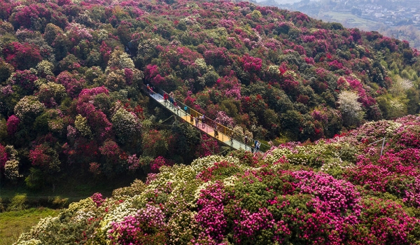 KHÁM PHÁ TRUNG HOA 2026