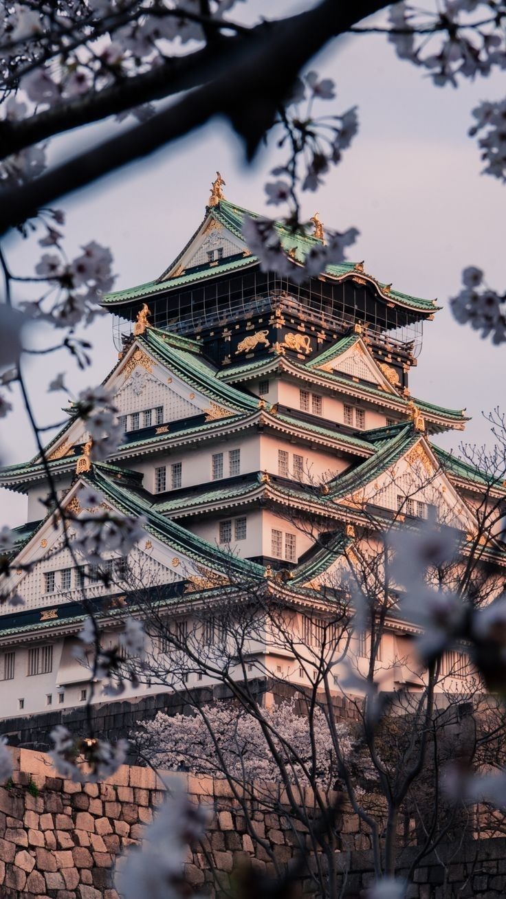 NHẬT BẢN HOA ANH ĐÀO 2026