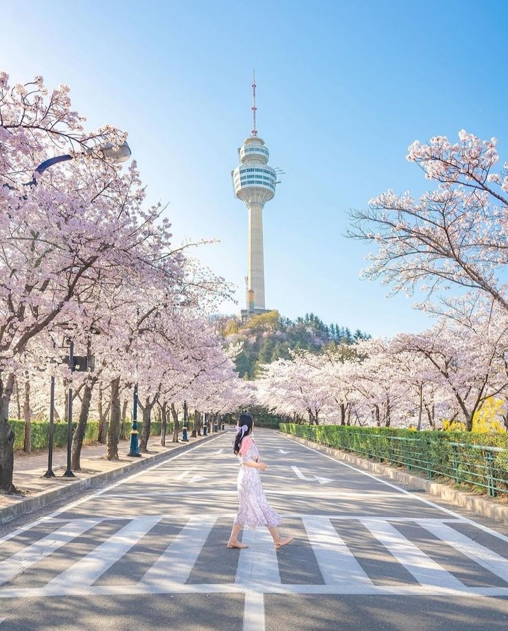 Khám phá Seoul-Busan