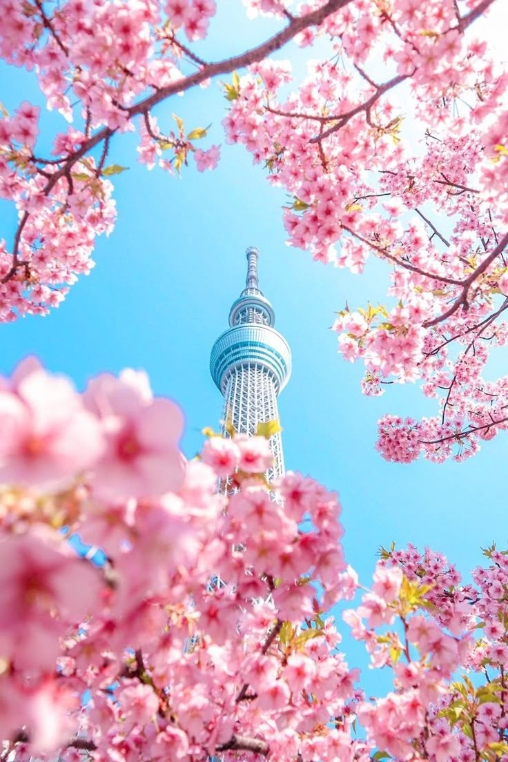 Khám phá Seoul-Busan