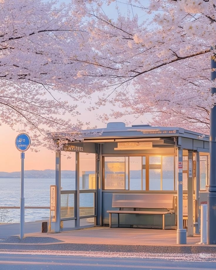 HÀ NỘI – BUSAN – DU THUYỀN – TÀU VEN BIỂN– SEOUL – NAMI– HÀ NỘI