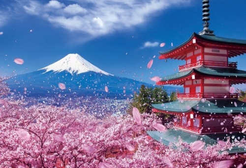 NHẬT BẢN XUÂN HÈ 2026