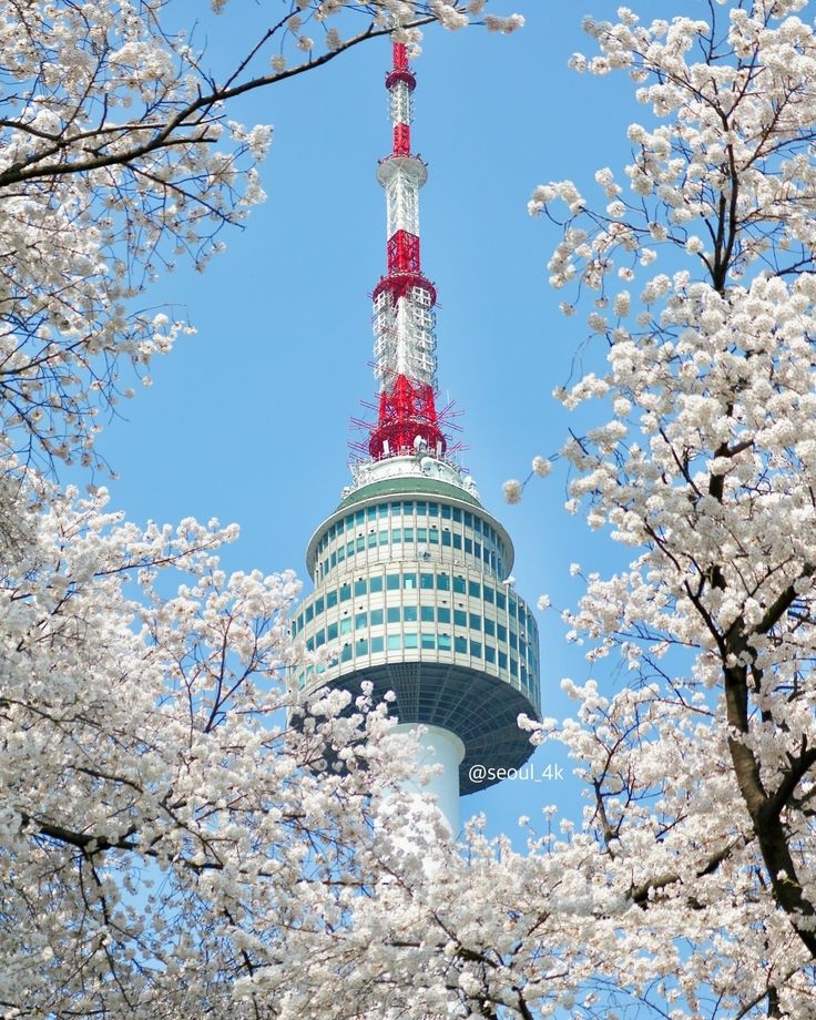 HÀ NỘI – BUSAN – DU THUYỀN – TÀU VEN BIỂN– SEOUL – NAMI– HÀ NỘI