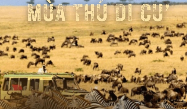 KHÁM PHÁ TRÁI TIM CỦA CHÂU PHI