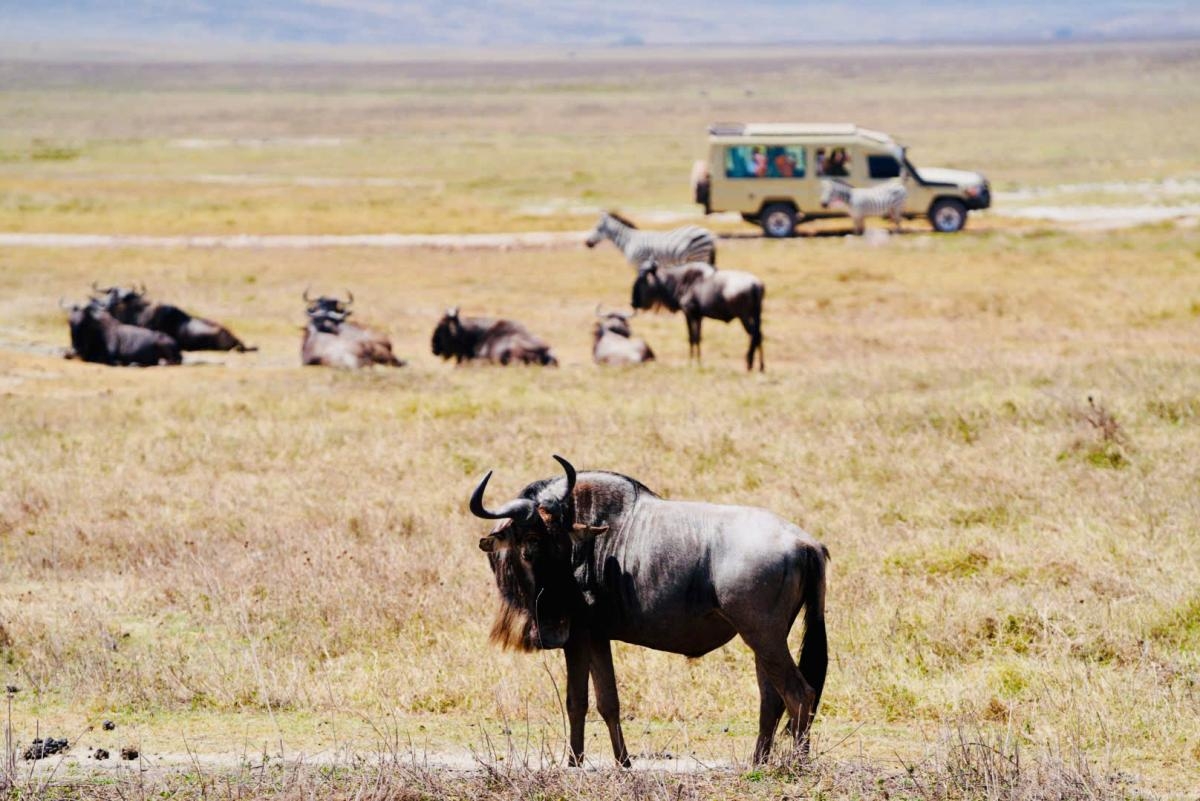 KHÁM PHÁ TRÁI TIM CỦA CHÂU PHI